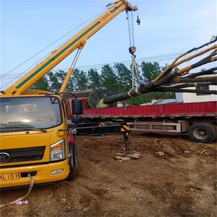 江岸100吨吊车租赁费用怎么算？3大关键因素+省钱技巧全解析